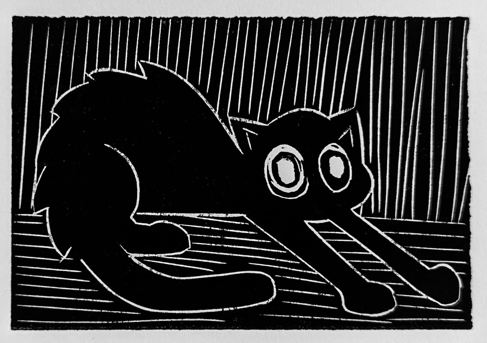 A cat linocut by colleen regin